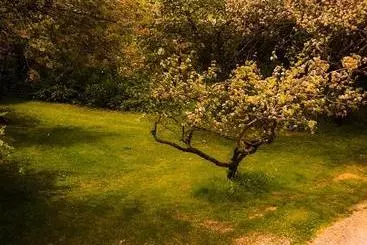 Bed and Breakfast Starnash Farmhouse