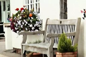 فندق The Shambles