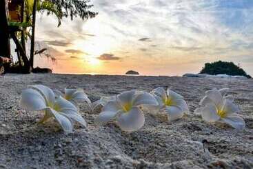 Hotel Anda Lipe Resort