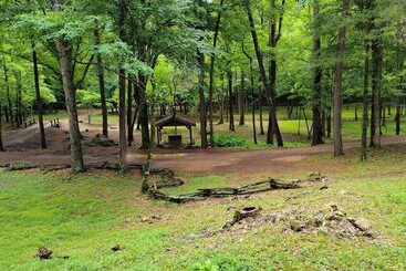 بيت ريفى Bean Creek Cabins