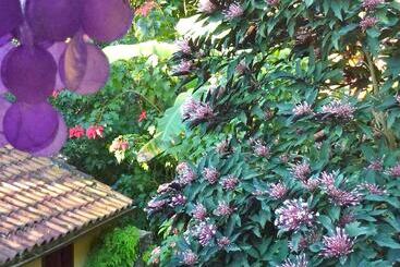 צימר Aratinga Inn