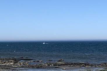 酒店 Les Studios De La Mer