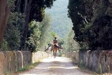 Amazing Cottage In S. Donato In Collina With Shared Pool