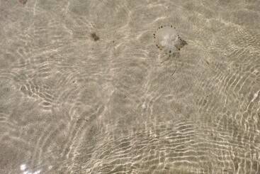 بيت ريفى Sea And Mountain View Sunbeach Holiday Snowdonia