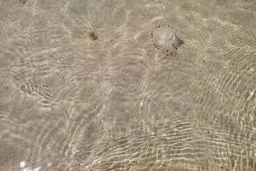 Mökkimajoitus Sea And Mountain View Sunbeach Holiday Snowdonia