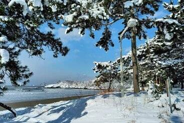 فندق Ramada Plaza By Wyndham Jaeun