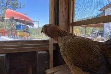 Motelli Columbia Point Resort