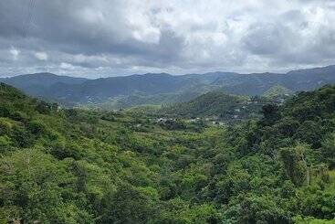 تختخواب و صبحانه Villa Gringo Farms