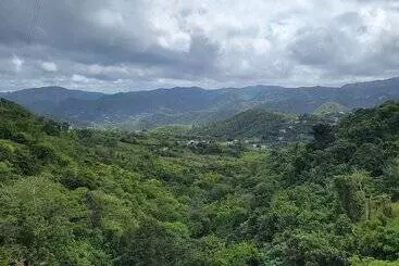 تختخواب و صبحانه Villa Gringo Farms