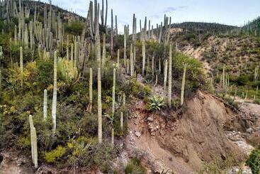 هتل Villa Jardines