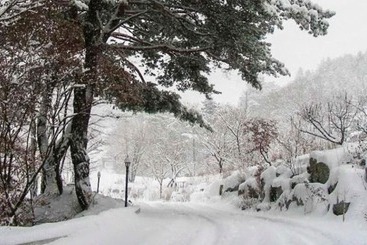 Pyeongchang Eomeonipumsok Maeul Pension