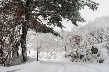 Pyeongchang Eomeonipumsok Maeul Pension