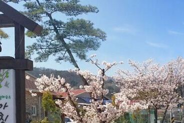 Pensió Jeonju Morning Garden Guest House