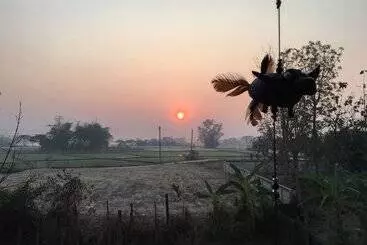 Hotel Baan Mali Lampang