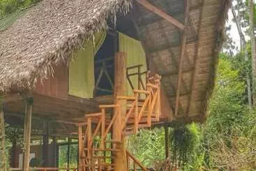 Casa Amazonas