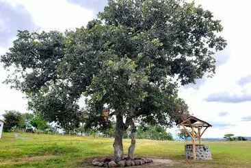 هتل Hacienda Del Café