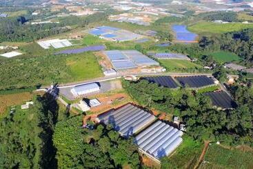 Hotel Pousada Das Flores