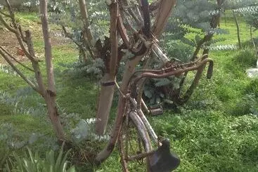 ホテル Rancho El Caballero