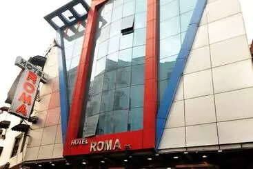 호텔 Roma Deluxe New Delhi Railway Station