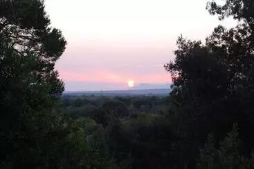 Kır Oteli Finca Son Vivot