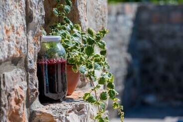 호텔 Villa Old Castle