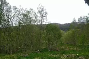 ペンション Holandsvika Bomiljø