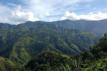 هتل Blue Ridge Restaurant & Cottages