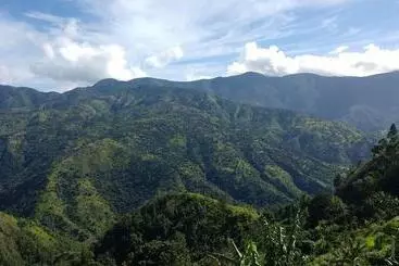 ホテル Blue Ridge Restaurant & Cottages