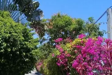 پانسیون Palm Tree Guest House