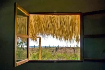 پانسیون Wild Waves Surf House