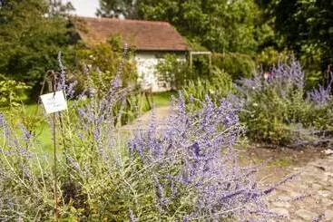 Majatalo Gutshaus Gottin