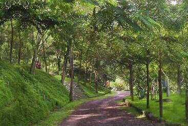 Glamping Furesa Experience Hostel