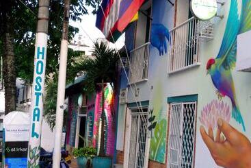 Hostal Pajara Pinta   Hostel