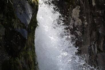 Dawson Falls Mountain Lodge