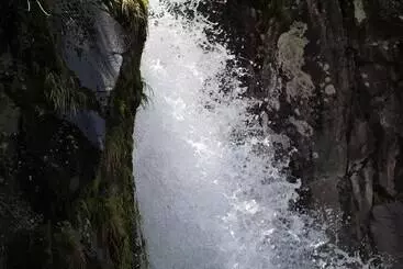 Dawson Falls Mountain Lodge