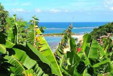 Отель Pousada Ninho Da águia