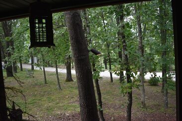 بيت ريفى Bear Creek Lodge Cabin Resort