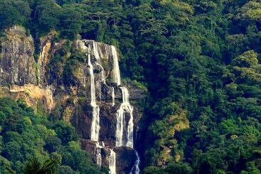 Udzungwa Forest Camp
