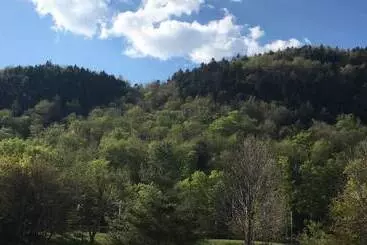 モーテル Great Pines