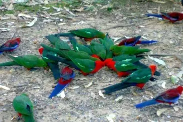 Batemans Bay Holiday Park & Hostel