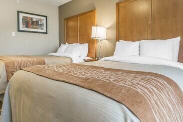هتل Comfort Inn & Suites Edmonton International Airport