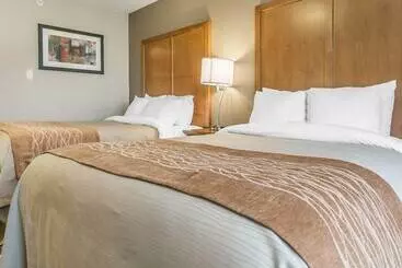 호텔 Comfort Inn & Suites Edmonton International Airport