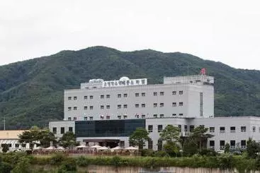Hotel Cheongju Sejong Spatel