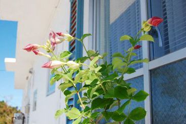 Casa Riverside Cottage Yomitan