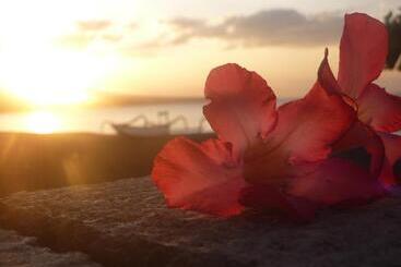 ペンション Tambun Sari Beach Homestay