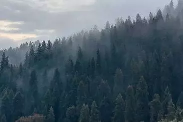 ホテル The Himalayan Deodar