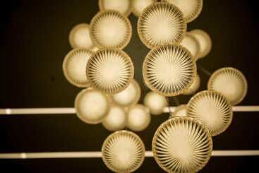 هتل Heraa International