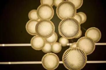 Hotel Heraa International