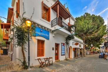 בית מלון כפרי İbrahim Serin Konagi