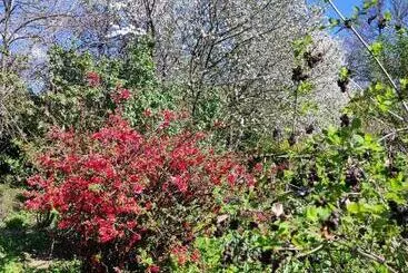 ペンション Il Giardino Del Gallo